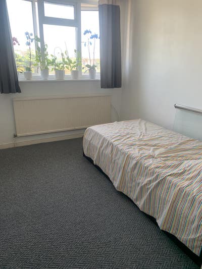 Single room  Main Photo