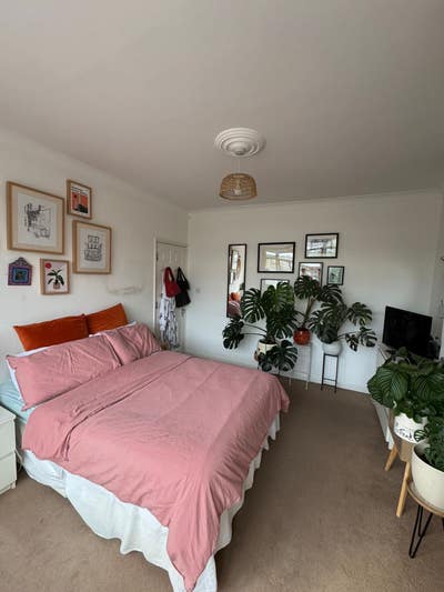 Double Room in Tooting Bec House  Main Photo