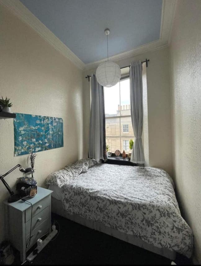 Flat share in lovely marchmont flat Main Photo