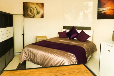 Spacious Room in Quiet, Friendly Home Bills Inc Main Photo