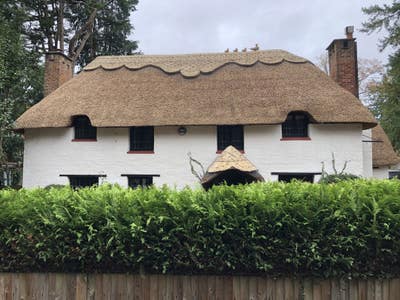 Double Room for rent with en-suite  Main Photo