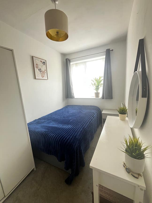 Looking for a flatmate Main Photo