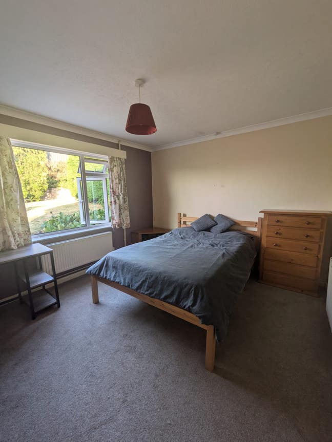 Double room and single room in shared house Main Photo