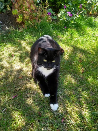 Partially retired, professional male... Main Photo