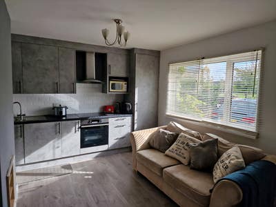 Single Room in Clean & Quiet Home Main Photo