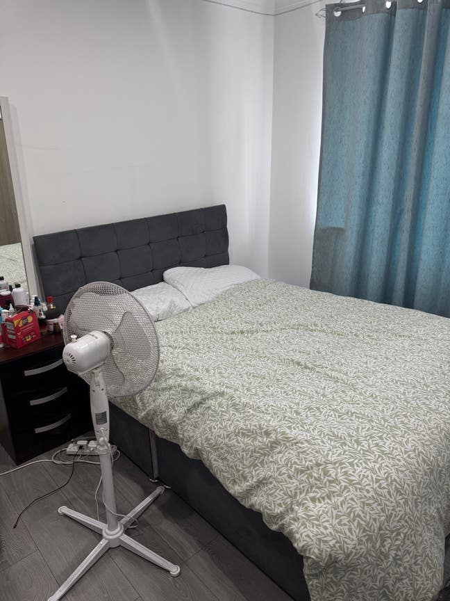 Roommate needed  Main Photo