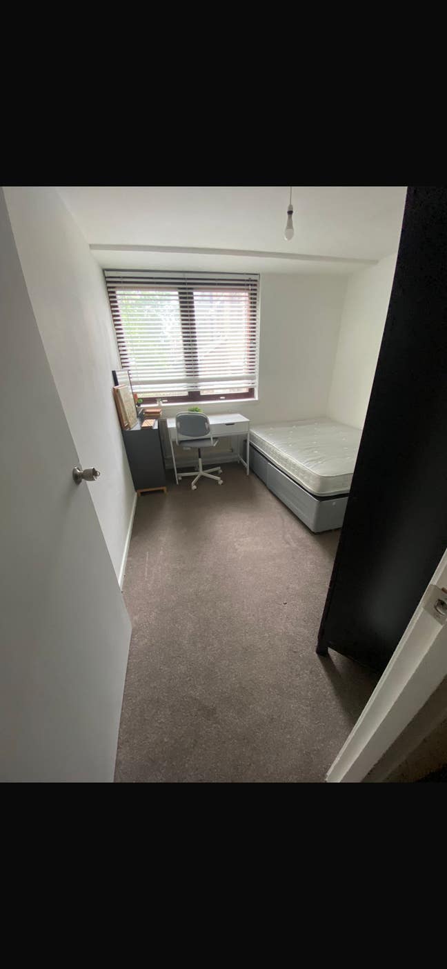 ROOM for rent Nottighill w11 perfect location Main Photo