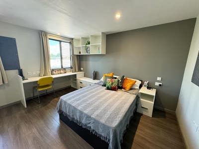 Gold Studio | Bills Included | Sept 2024  Main Photo