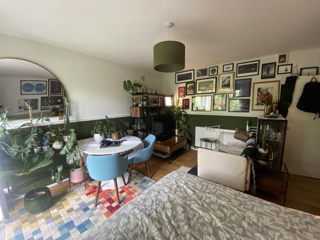 Big treehouseroom with balancy 🌳🌳🌳 (and cat) Main Photo