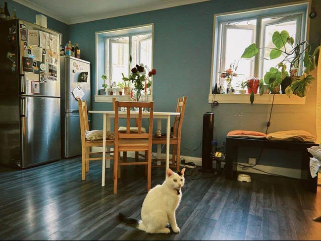 Sublet my room in cute little house 04/02-15/03 Main Photo