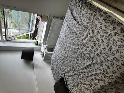 Big room available in Highstreet Main Photo