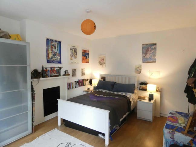 Big  room with private garden in Dalston, Main Photo