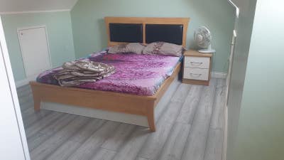 Spacious Double Bedroom in Peterborough ✨  Main Photo