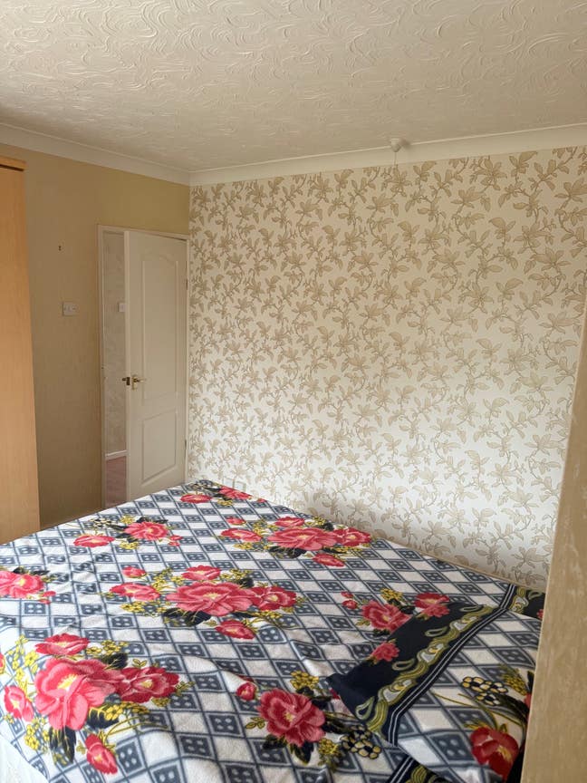 Room to rent  Main Photo