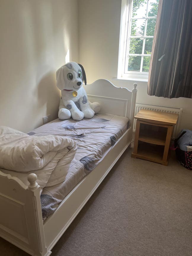 Bright, Furnished Room Near Royal Holloway Main Photo