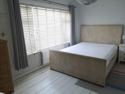 Spacious double room in a relaxed vegan house Main Photo