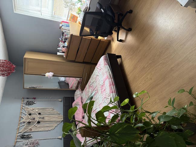 Double room  Main Photo