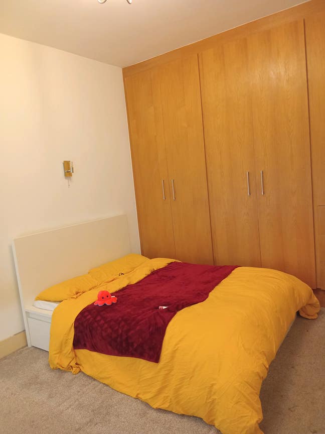 1 double bedroom in Finchley  Main Photo
