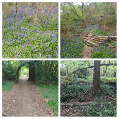 Cosy Double Room in a house close to nature  Main Photo