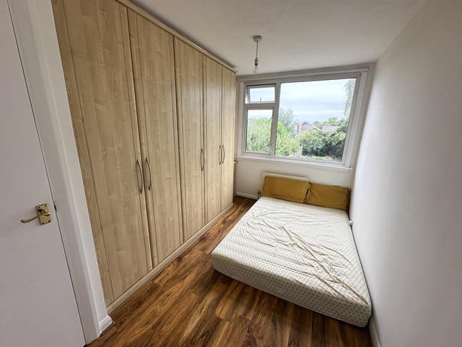A room is Available for single or couple  Main Photo