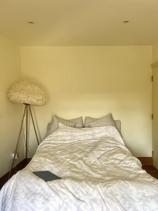 A room in a very cosy flat in Earl's court Main Photo