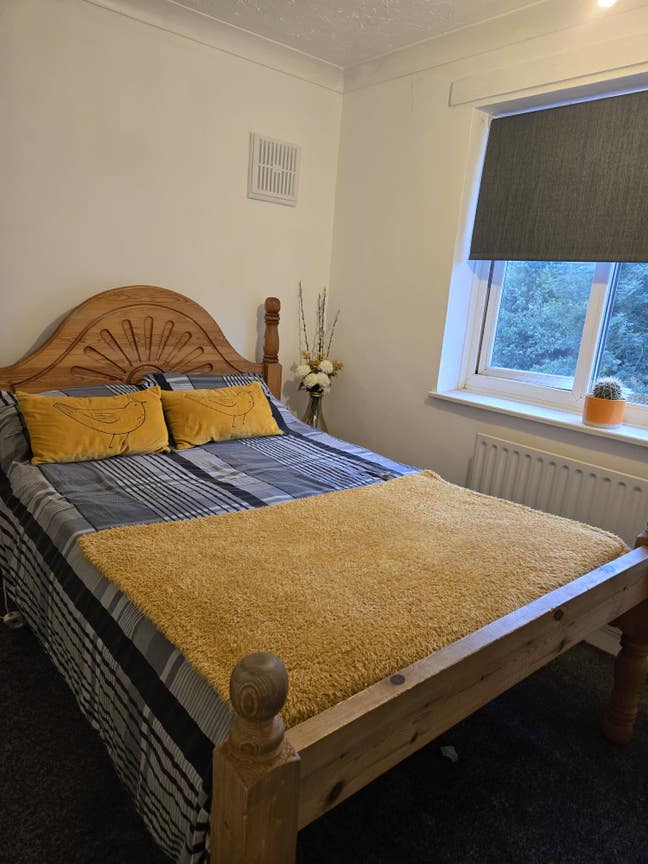 Double spacious room for single person. Main Photo