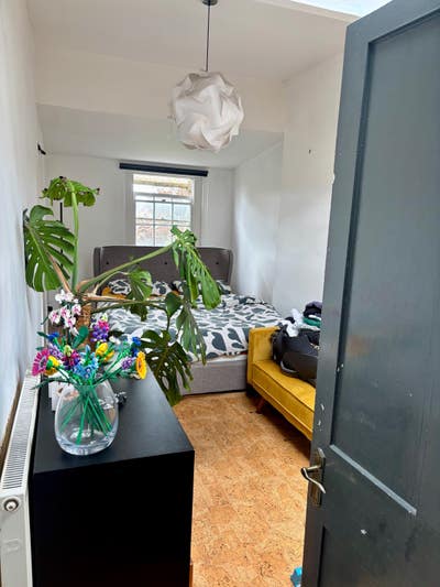 Double Room in Beautiful Clifton Main Photo