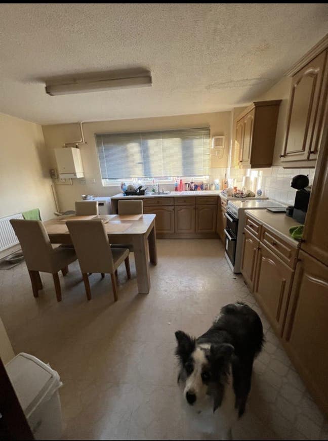 Single room to rent Main Photo