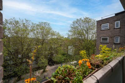Rooms available in friendly flatshare in Euston Main Photo