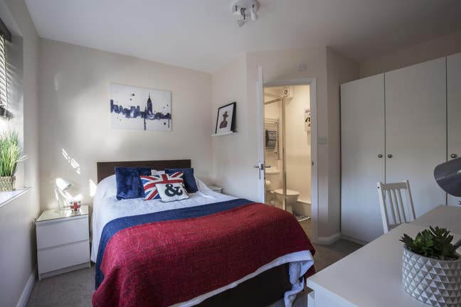 Stylish friendly houseshare, lovely garden & shed Main Photo