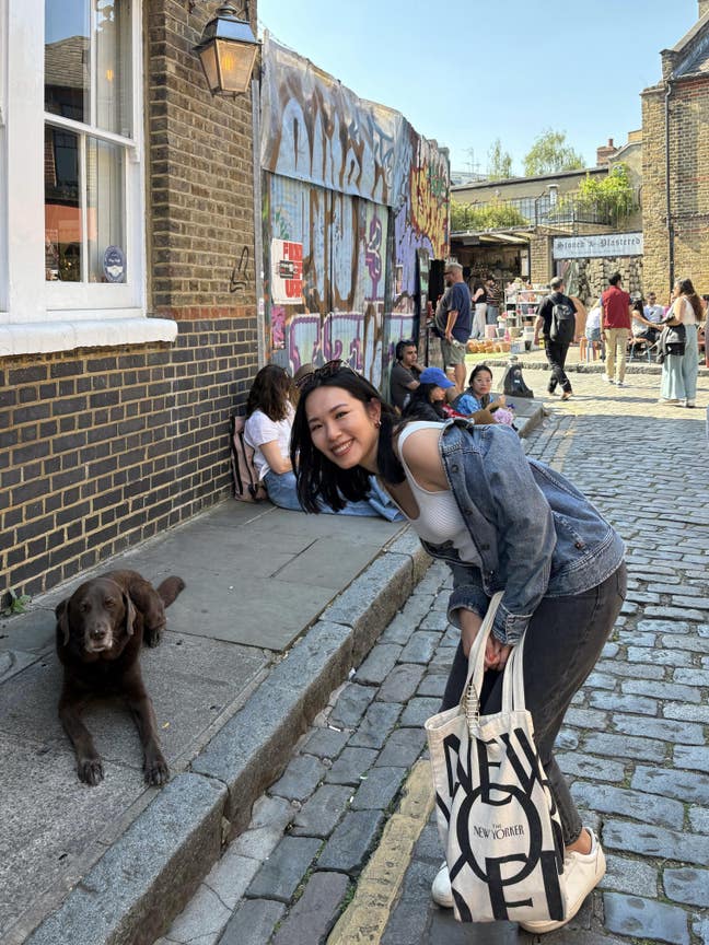 Looking for a long-term home Main Photo