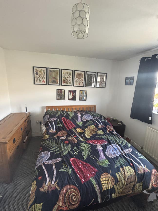 Housemate wanted to split 50/50 in furnished house Main Photo