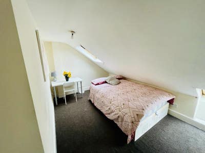 Beautiful and airy single room in Harlesden Main Photo