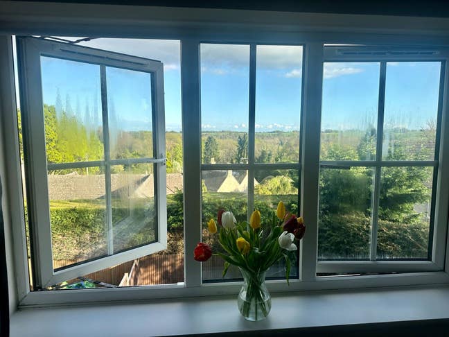Looking for a lovely housemate!  Main Photo
