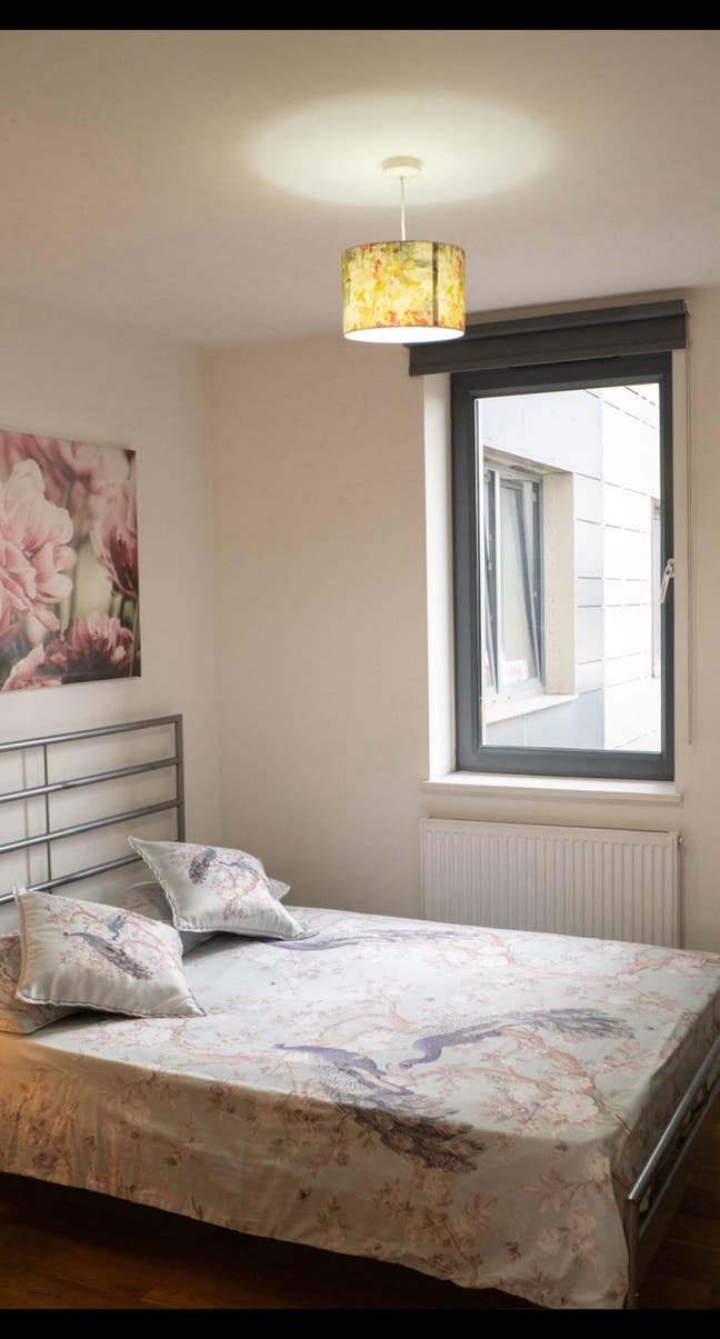 Room for rent in a calm and impeccable environment Main Photo