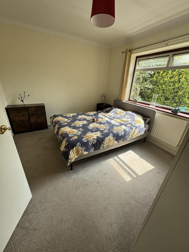 🏡 Spacious Bungalow Room with Beautiful Gardens – Main Photo