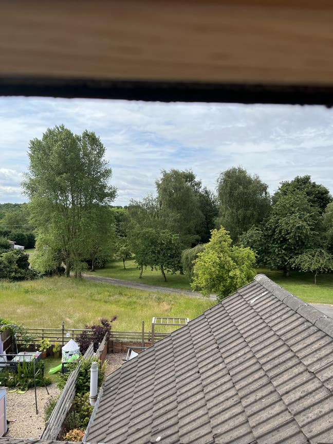 Large,  spacious double room  Main Photo