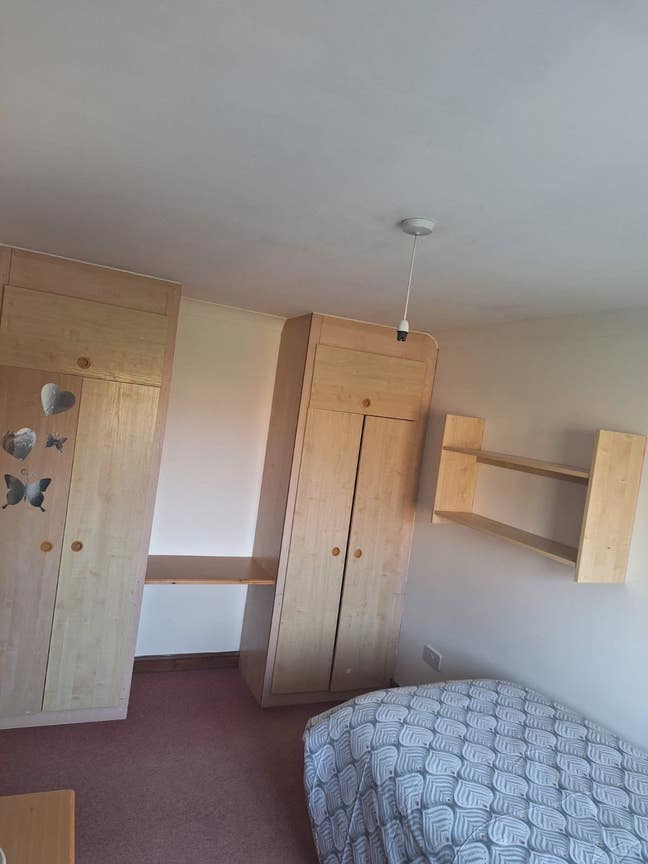 Large single bedroom available  Main Photo