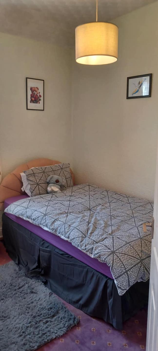 Spare single bedroom available for single female. Main Photo