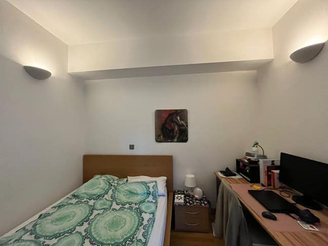 Spacious clean peaceful room in Hackney Wick Main Photo