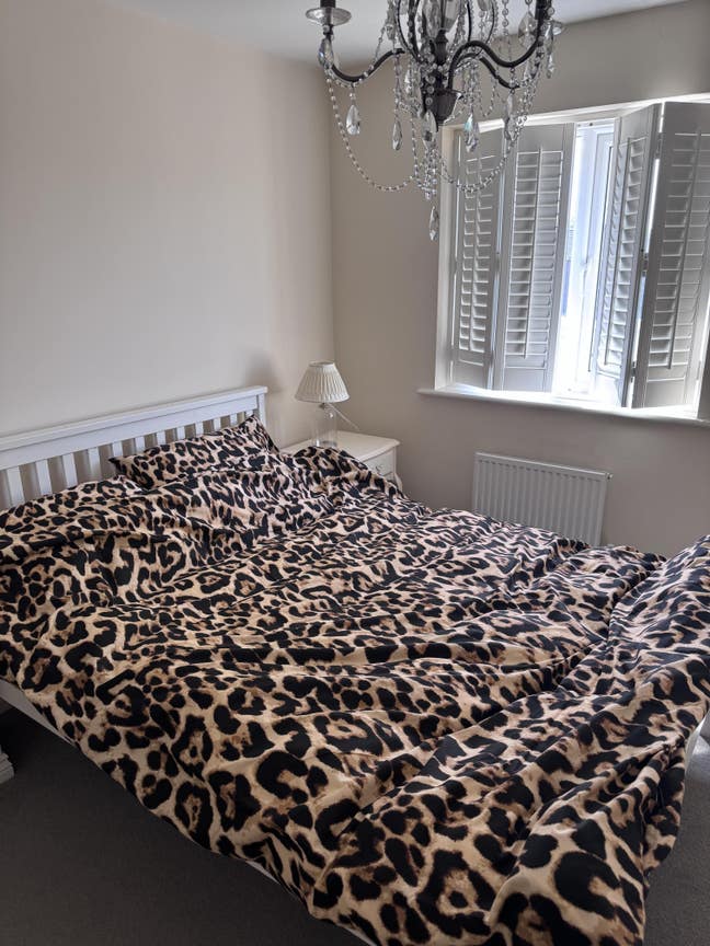 Room for lodger  Main Photo