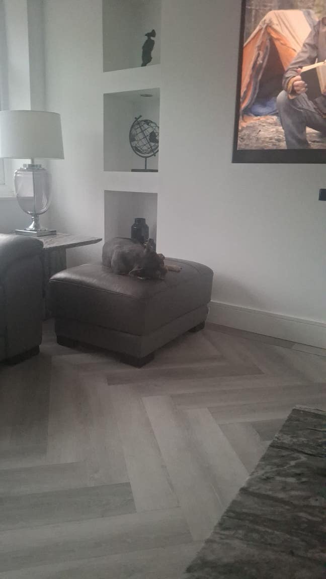 Double room for rent.  Main Photo