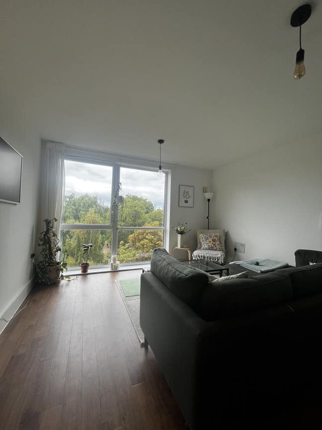 Modern One-Bedroom Flat  Main Photo