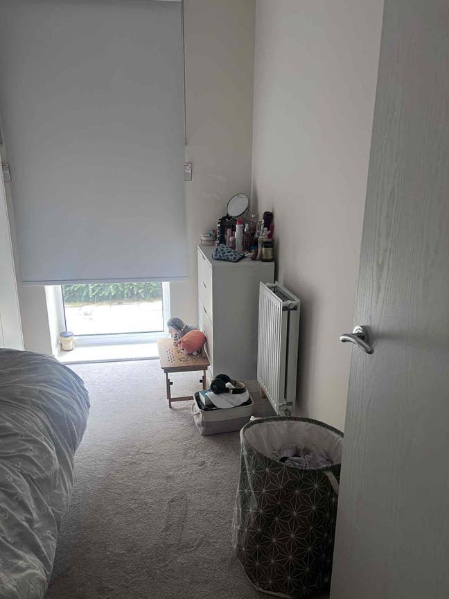 Bright single room in new-build flat in london   Main Photo
