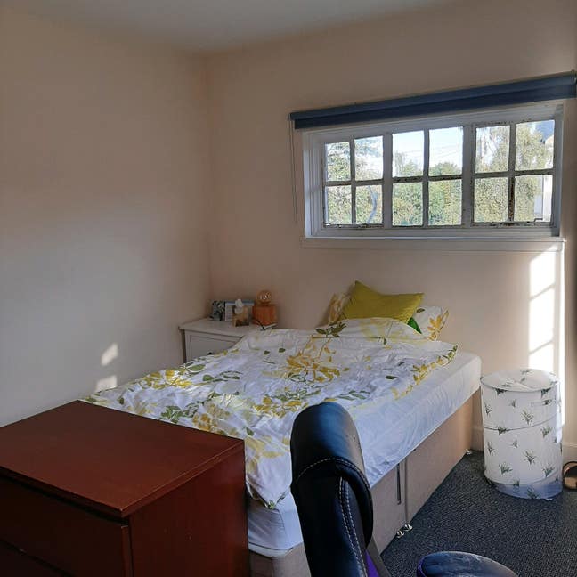 Short term sublet near Arthur's Seat (2 months) Main Photo