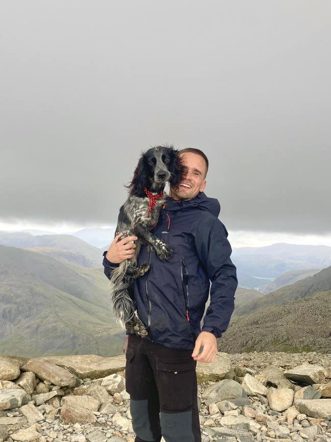 Professional plus dog  Main Photo