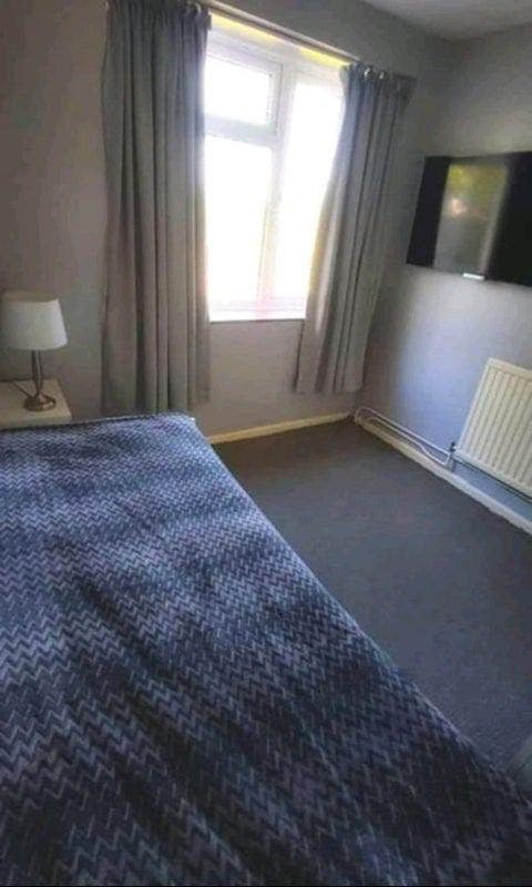 Single Room For Rent Main Photo