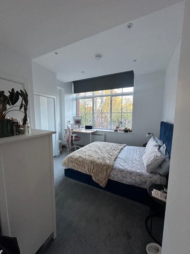 Spacious bright bedroom in Farringdon  Main Photo
