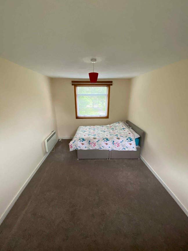 Double bedroom available  Main Photo