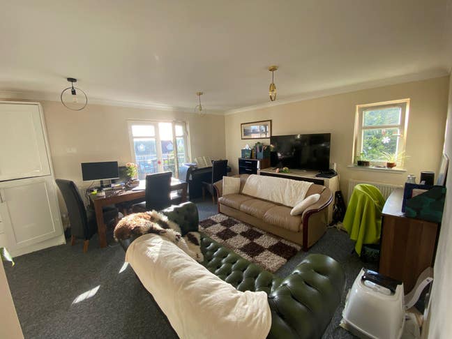 Flat with a Cat - tenant needed Sept Main Photo